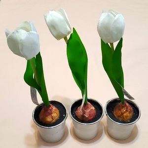 3 Faux Potted White Tulip Bulbs